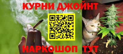 стафф Пенза