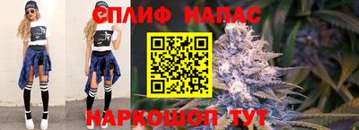 стафф Пенза