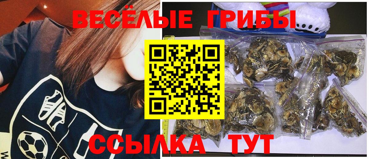 Сегежа  Галлюциногенные грибы Psilocybe  Вход с VPN 