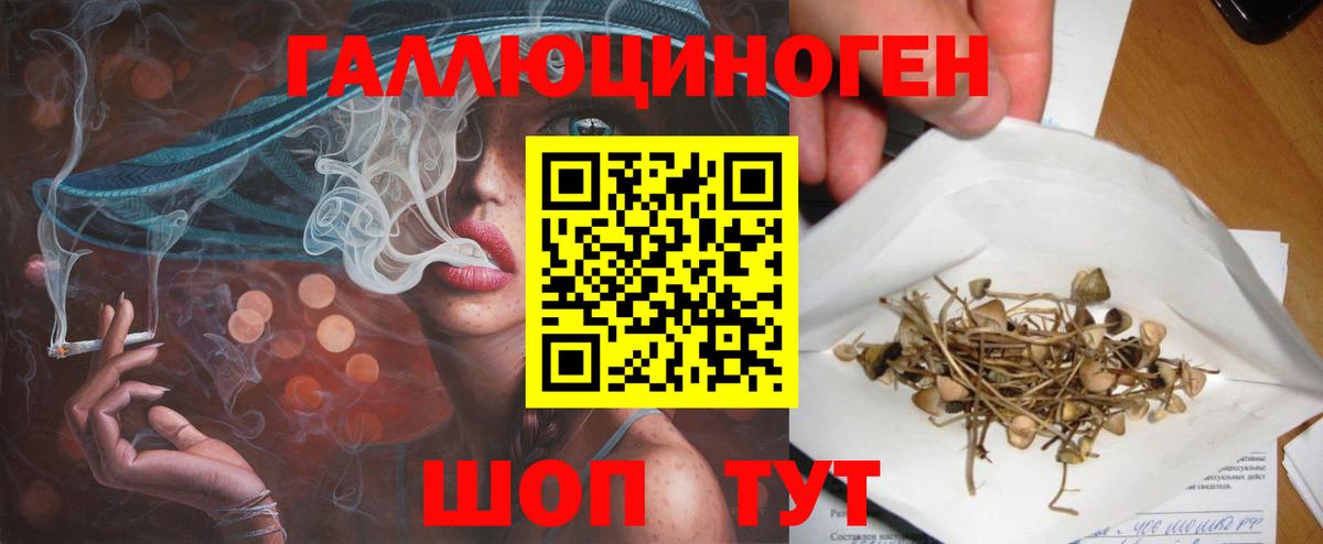 Псилоцибиновые грибы GOLDEN TEACHER Сегежа